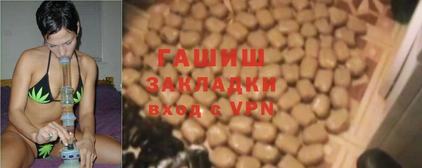 прущие грибы Магадан
